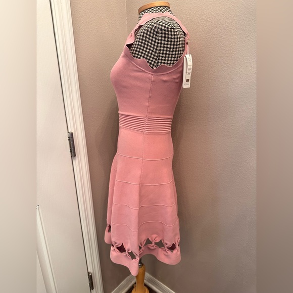 Ted Baker London Dusty Pink Cherina Bow Skater Dress - Picture 6 of 10